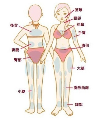 人体可以整形的部位