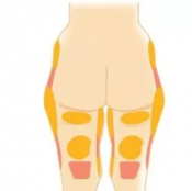 ŵ渹/֬۸6 ļŻݻ